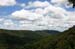 land_flo18