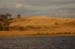 land_flo31