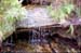 land_flo46