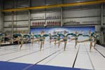 _MG_5887-1