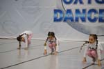 _MG_5361