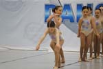 _MG_4291-1